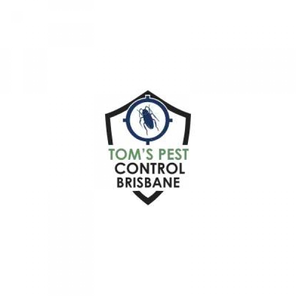 Termite Inspection Brisbane | Tom’s Pest Control Brisbane