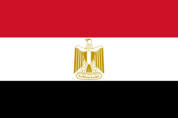 Egyption Government Visa and Immmigration Office