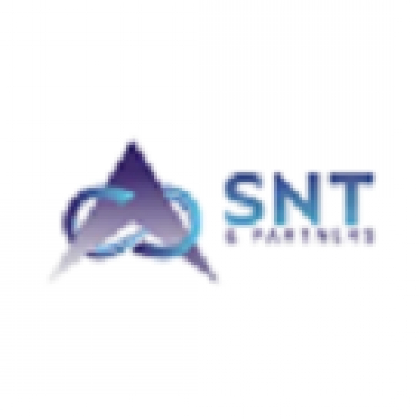 SNT Partners