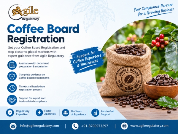 Agile Regulatory