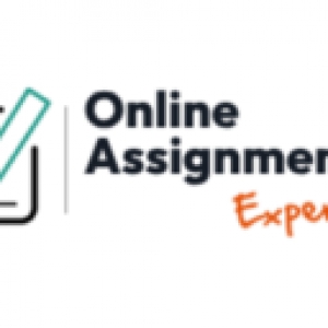 Online Assignment Expert