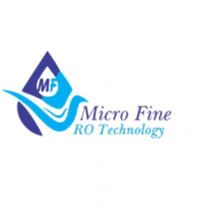 Microfinero17