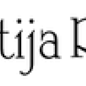 shritija Rugs